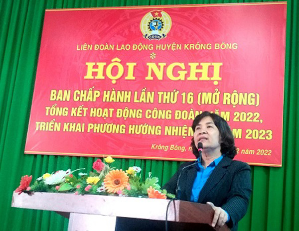 Liên đoàn Lao động huyện Krông Bông triển khai nhiệm vụ năm 2023