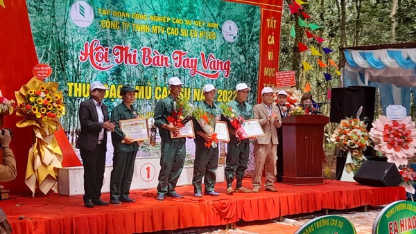 Công ty TNHH một thành viên cao su Ea H’leo tổ chức hội thi “Bàn tay vàng” thu hoạch mủ cao su năm 2022
