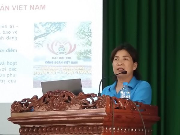 Liên đoàn lao động huyện Krông Năng Tổ chức tập huấn  nghiệp vụ Công tác Công đoàn năm 2024
