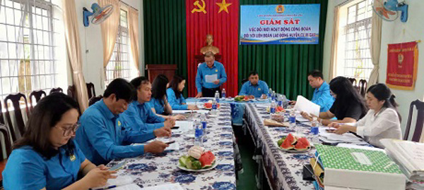 Đoàn giám sát Ban Thường vụ Liên đoàn Lao động tỉnh giám sát  tại Liên đoàn Lao động huyện Cư M’gar